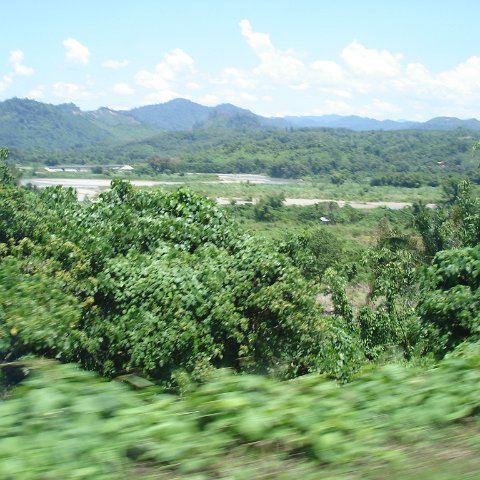 Road trip Sandakan - Kota Kinabalu (194) Road trip Sandakan - Kota Kinabalu (194)