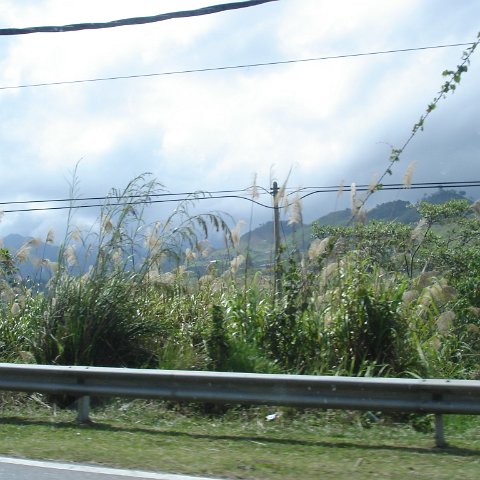 Road trip Sandakan - Kota Kinabalu (224) Road trip Sandakan - Kota Kinabalu (224)