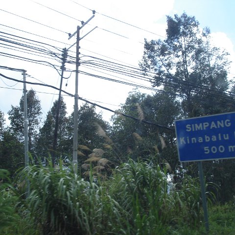 Road trip Sandakan - Kota Kinabalu (283) Road trip Sandakan - Kota Kinabalu (283)