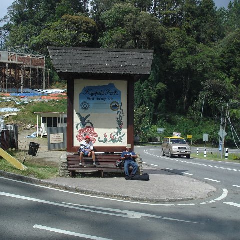 Road trip Sandakan - Kota Kinabalu (284)