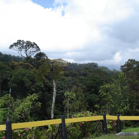 Road trip Sandakan - Kota Kinabalu (296)