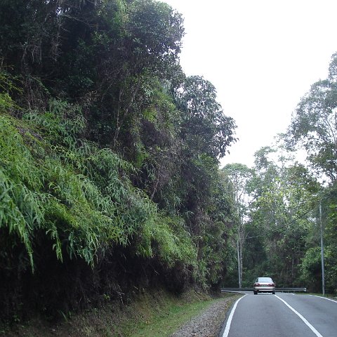 Road trip Sandakan - Kota Kinabalu (303) Road trip Sandakan - Kota Kinabalu (303)