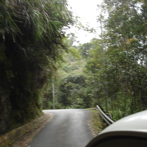Road trip Sandakan - Kota Kinabalu (308)