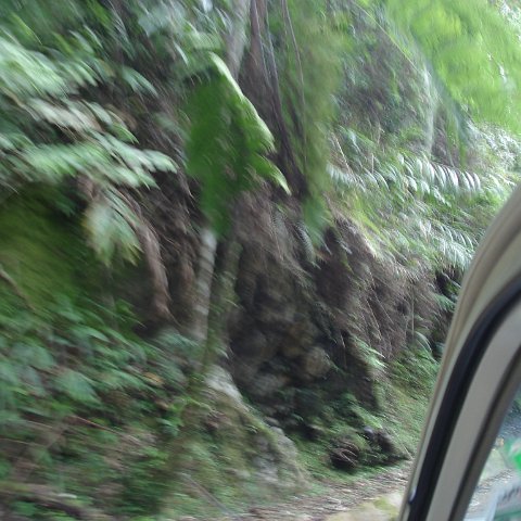 Road trip Sandakan - Kota Kinabalu (310) Road trip Sandakan - Kota Kinabalu (310)
