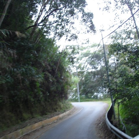 Road trip Sandakan - Kota Kinabalu (311) Road trip Sandakan - Kota Kinabalu (311)