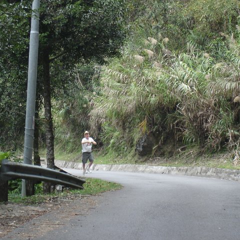 Road trip Sandakan - Kota Kinabalu (320) Road trip Sandakan - Kota Kinabalu (320)