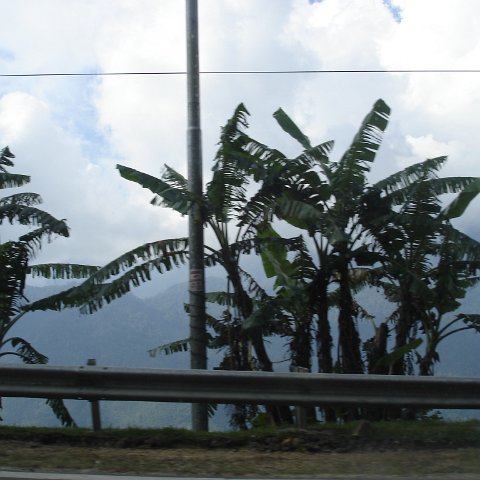 Road trip Sandakan - Kota Kinabalu (336)