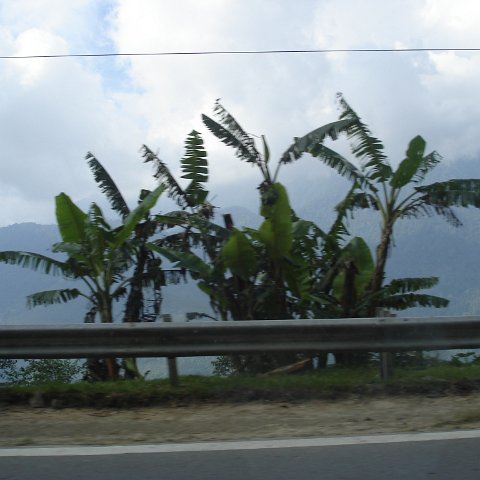 Road trip Sandakan - Kota Kinabalu (337) Road trip Sandakan - Kota Kinabalu (337)