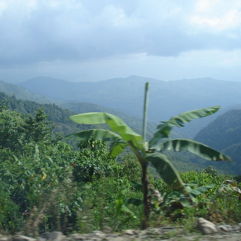 Road trip Sandakan - Kota Kinabalu (341)