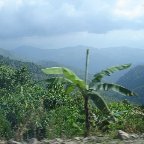 Road trip Sandakan - Kota Kinabalu (341) Road trip Sandakan - Kota Kinabalu (341)