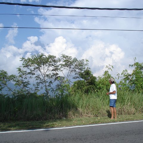 Road trip Sandakan - Kota Kinabalu (353)