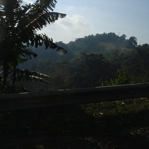 Road trip Sandakan - Kota Kinabalu (369)