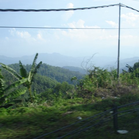 Road trip Sandakan - Kota Kinabalu (372)