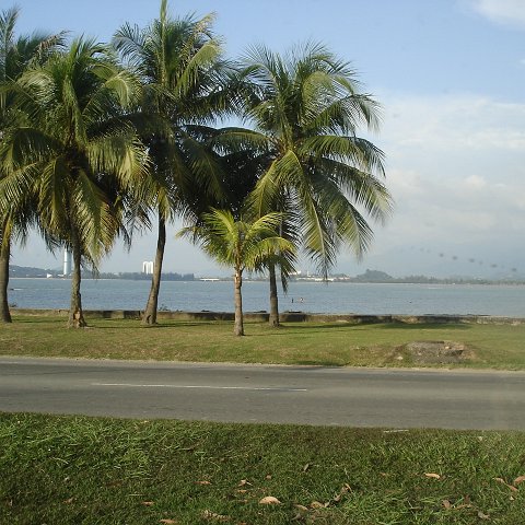 Road trip Sandakan - Kota Kinabalu (381)