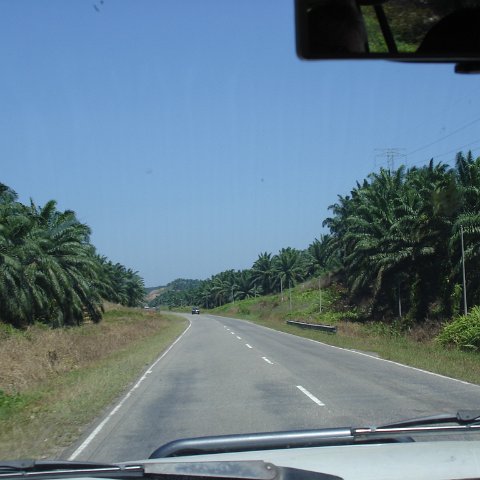 Road trip Sandakan - Kota Kinabalu (49) Road trip Sandakan - Kota Kinabalu (49)