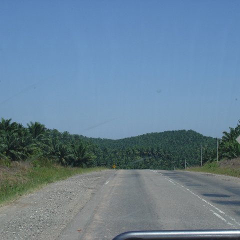 Road trip Sandakan - Kota Kinabalu (51) Road trip Sandakan - Kota Kinabalu (51)