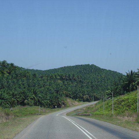 Road trip Sandakan - Kota Kinabalu (52) Road trip Sandakan - Kota Kinabalu (52)