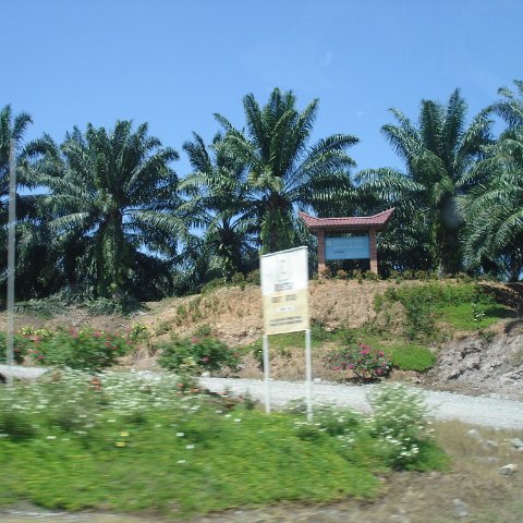 Road trip Sandakan - Kota Kinabalu (53) Road trip Sandakan - Kota Kinabalu (53)