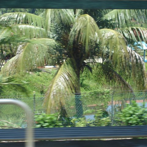 Road trip Sandakan - Kota Kinabalu (65) Road trip Sandakan - Kota Kinabalu (65)