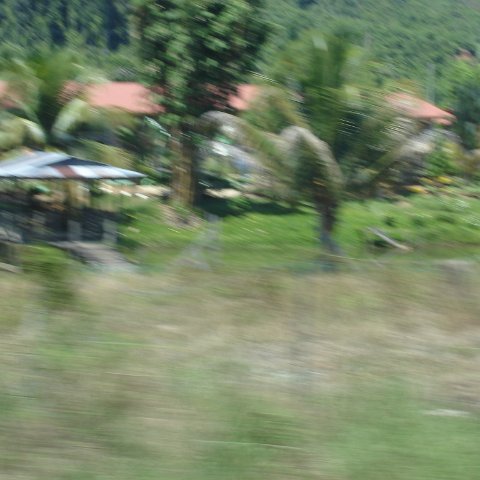 Road trip Sandakan - Kota Kinabalu (66)