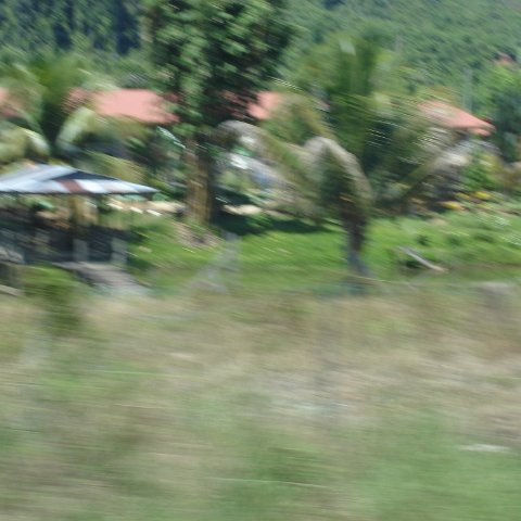 Road trip Sandakan - Kota Kinabalu (66) Road trip Sandakan - Kota Kinabalu (66)