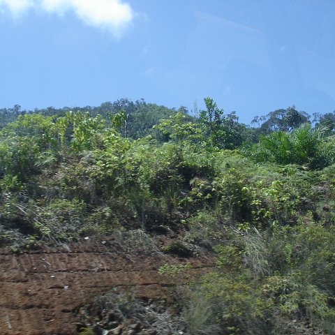 Road trip Sandakan - Kota Kinabalu (75) Road trip Sandakan - Kota Kinabalu (75)