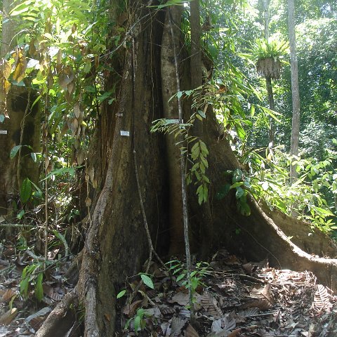 nature discovery center (15)