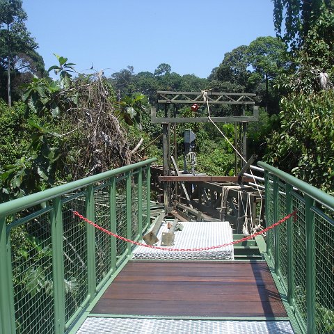 nature discovery center (30)