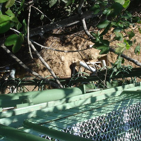 nature discovery center (33)