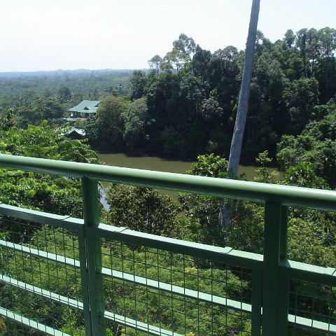 nature discovery center (38)