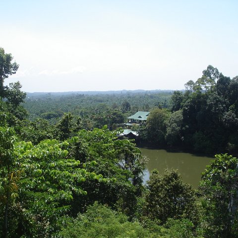 nature discovery center (41)