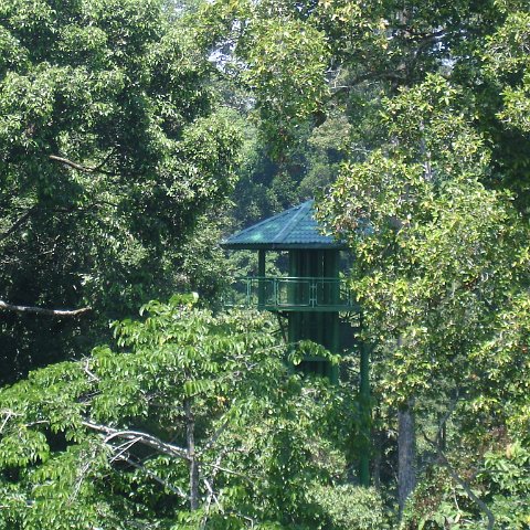 nature discovery center (45)