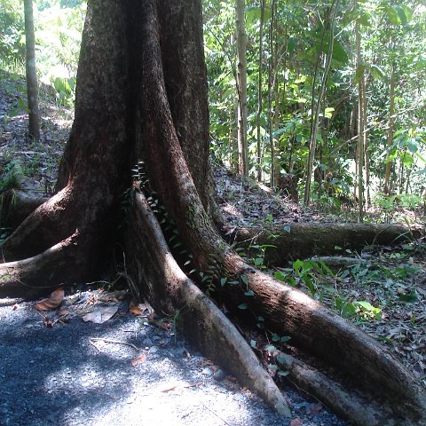 nature discovery center (62)