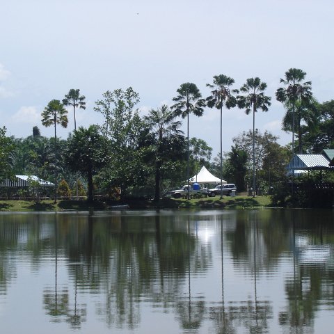 nature discovery center (74)