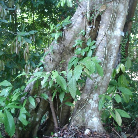 nature discovery center (79)