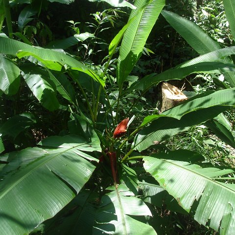 nature discovery center (84)