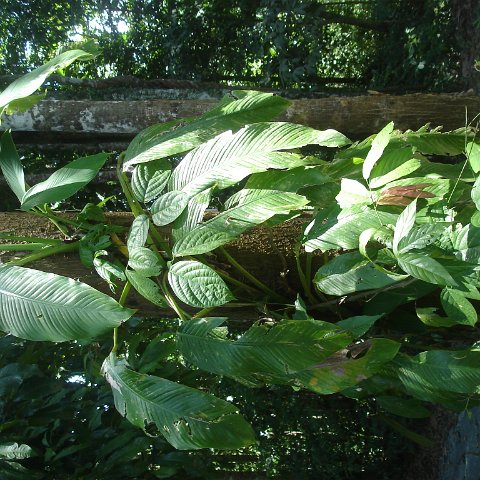 nature discovery center (90)