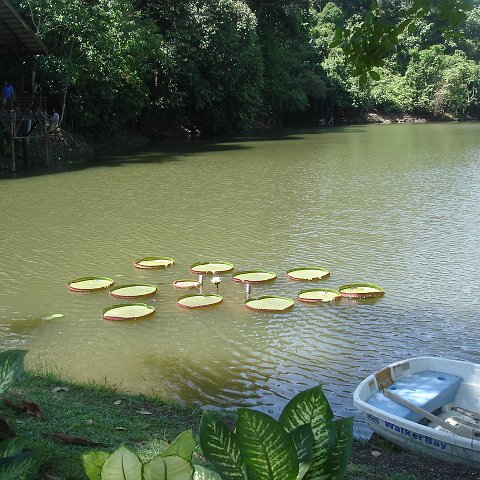 nature discovery center