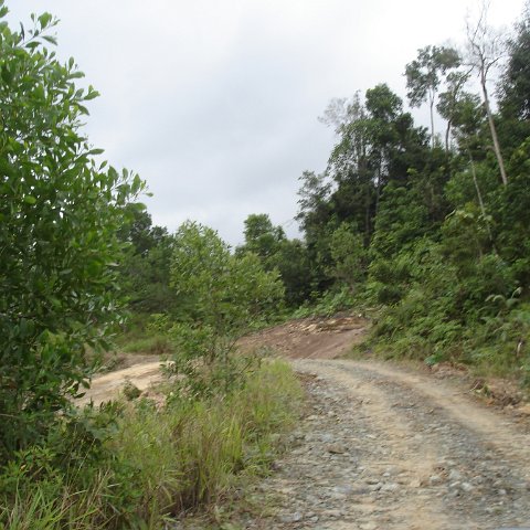 sites around Sandakan 4-07 (116) sites around Sandakan 4-07 (116)
