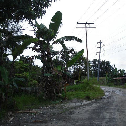 sites around Sandakan 4-07 (118) sites around Sandakan 4-07 (118)