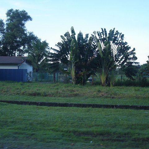 sites around Sandakan 4-07 (124) sites around Sandakan 4-07 (124)