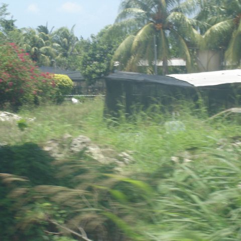 sites around Sandakan 4-07 (17) sites around Sandakan 4-07 (17)