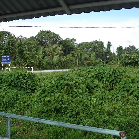 trip from Holiday Inn to Kuching (32) trip from Holiday Inn to Kuching (32)