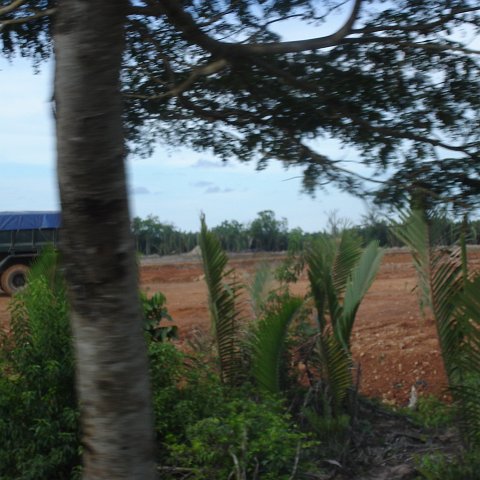 trip from Holiday Inn to Kuching (40) trip from Holiday Inn to Kuching (40)