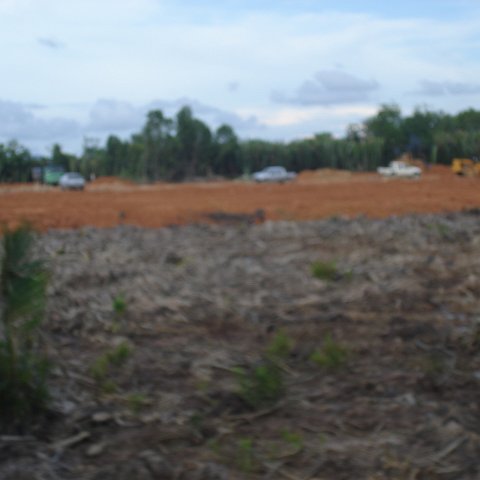 trip from Holiday Inn to Kuching (42) trip from Holiday Inn to Kuching (42)
