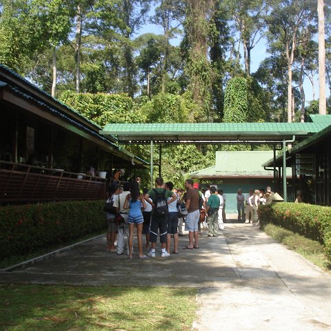 trip to Orangataun park (1)
