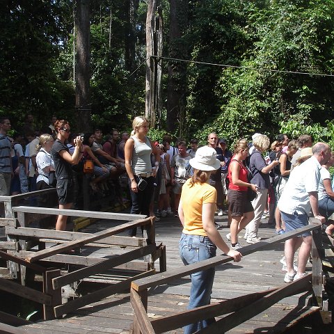 trip to Orangataun park (13)