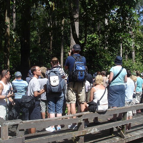 trip to Orangataun park (14) trip to Orangataun park (14)