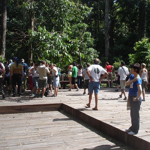 trip to Orangataun park (15)