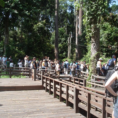 trip to Orangataun park (33)